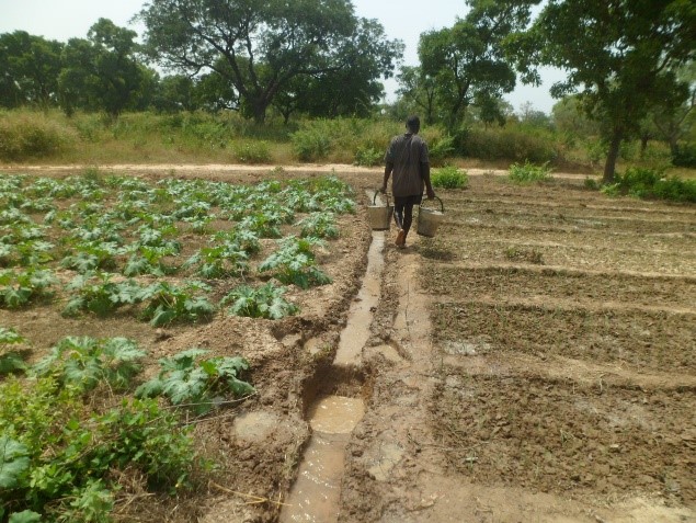 Agriculture : La production maraîchère dans la province de l’Oubritenga au Burkina Faso