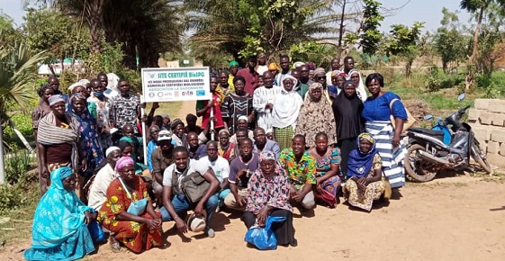 Agroécologie urbaine et commercialisation : Pour une transition agroécologique pérenne des coopératives maraichères de Ouagadougou
