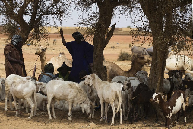 Mali : Les communautés peulh et dogon du cercle de Koro signent trois accords humanitaires