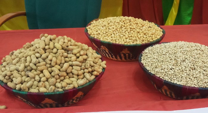 Agriculture : Le Burkina célèbre la contribution des légumineuses dans l’atteinte de la sécurité alimentaire 