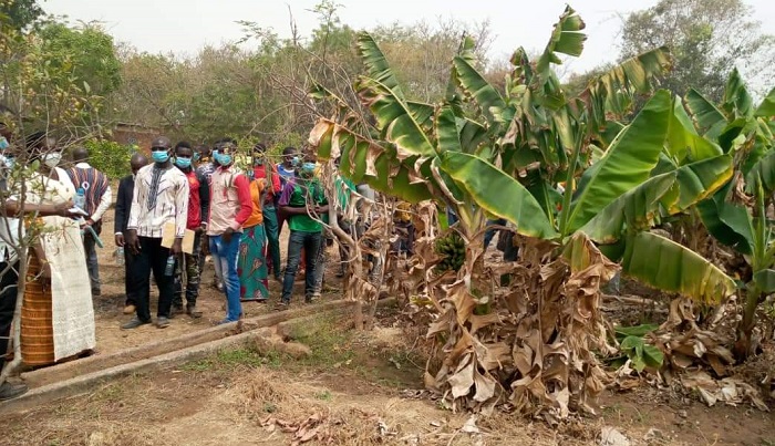 Agriculture : L’OCADES Caritas forme 50 jeunes au métier de fermiers agricoles à Dédougou