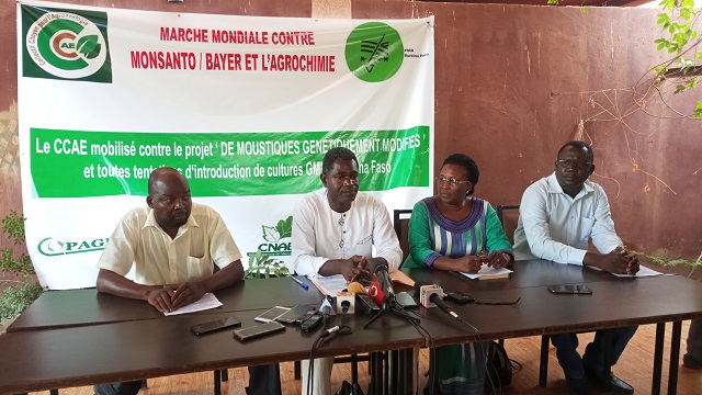 Agrochimie : Le « Collectif citoyen pour l’agroécologie » tire la sonnette d’alarme sur les dangers des moustiques génétiquement modifiés 