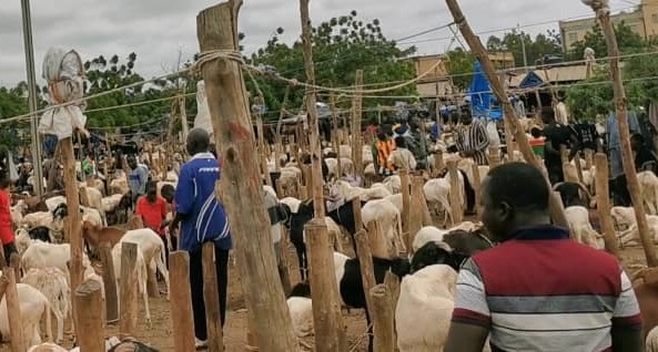 Tabaski 2021 au Burkina : Des commerçants satisfaits de la décision d’interdire la vente de bétail en dehors des marchés