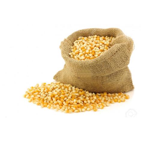 Vente de céréales au Burkina : Voici les prix maximum fixés pour le maïs, le mil et le Sorgho 