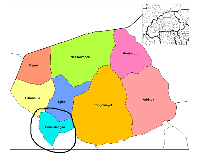 Pobé Mengao/ Région du Sahel : Une dizaine de terroristes tués