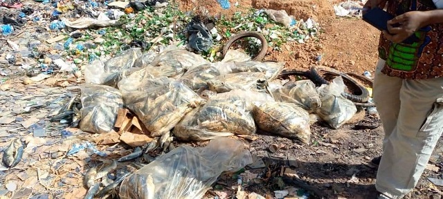 Burkina/Koudougou : Saisie d’une tonne de poisson avarié et impropre à la consommation  