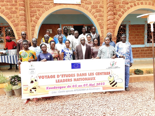 Développement de la filière miel au Burkina Faso : Le STA initie un voyage d’étude au profit des apiculteurs