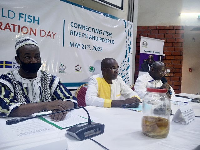 Journée mondiale de migration des poissons 2022 : Le Burkina Faso et le Ghana célèbrent leur première édition 