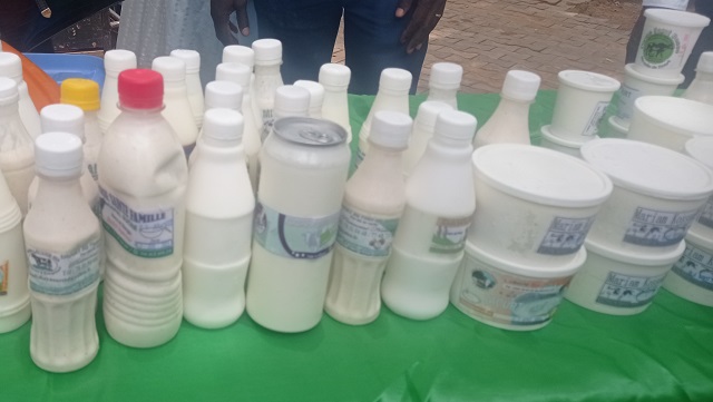 Filière lait : Le Burkina Faso veut améliorer la compétitivité du secteur 