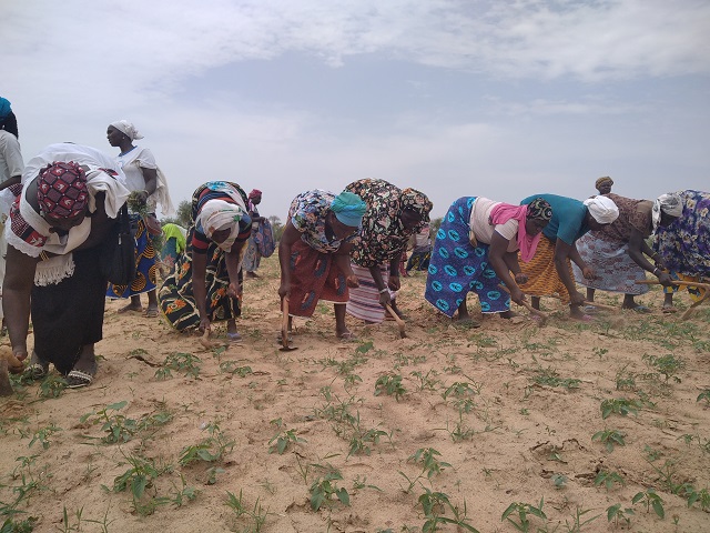 Situation humanitaire au Burkina : Plan international réaffirme son engagement en faveur des déplacés internes de Kaya