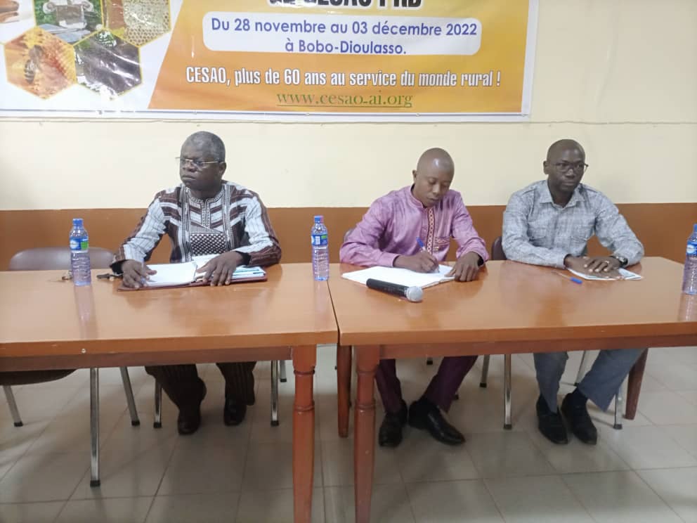 Bobo-Dioulasso : Le CESAO outille une trentaine d’apiculteurs en techniques d’apiculture