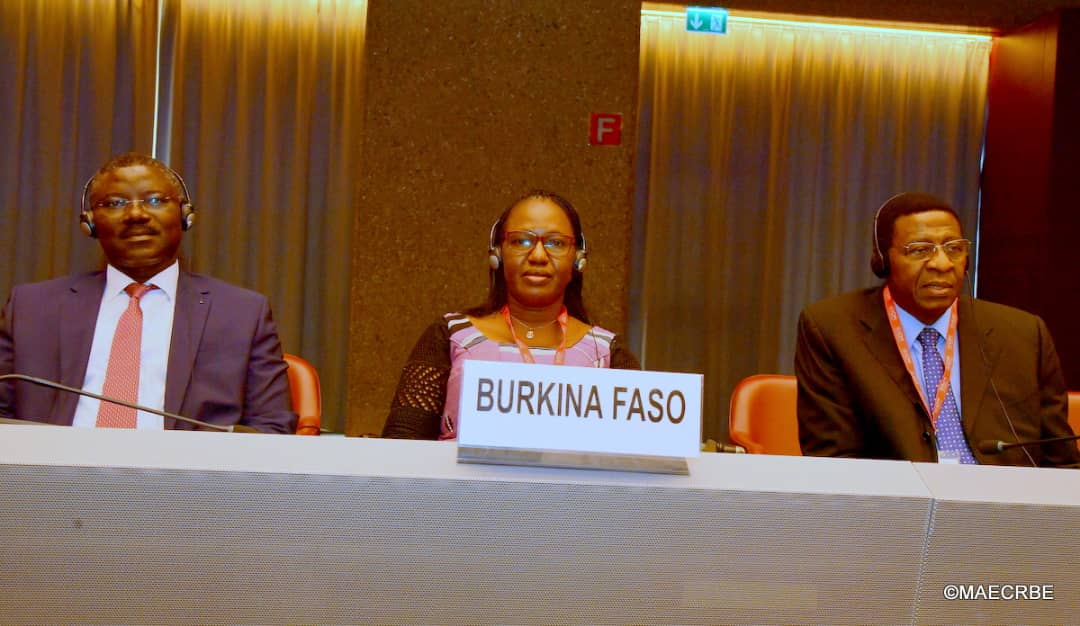 6e Session extraordinaire du Conseil de l’OIM : Ragnaghnèwendé Olivia ROUAMBA à Genève