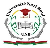 Offre d’emploi : L’Université Nazi Boni recrute un contrôleur ou un auditeur interne