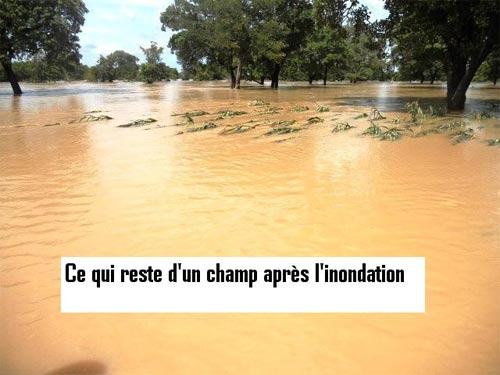 Inondation à Zékézé dans le Boulgou : 2 morts et 600 personnes sinistrées