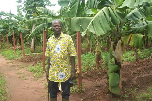 Production agricole : De l’hévéa « made in Burkina »