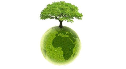 Actu vert ! Sandy relance le débat sur les changements climatiques