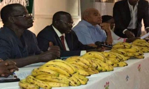 3e bourse de la banane : L’état actuel des fleurs présage une bonne campagne