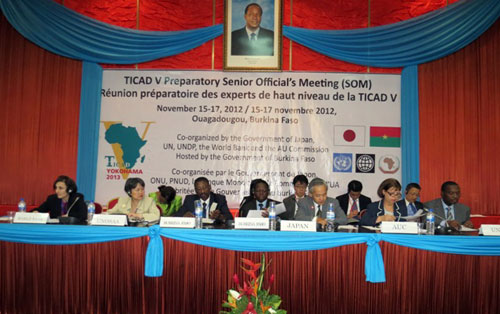 Réunion préparatoire de la TICAD V : Les experts ont balisé le terrain pour une coopération africano-nipponne exemplaire