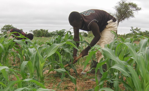 FIDA : 51, 16 millions de dollars pour soutenir le Burkina dans la lutte contre l’insécurité alimentaire