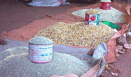 situation alimentaire et nutritionnelle au Sahel et en Afrique de l’Ouest  « Confirmation de bonnes récoltes mais la surveillance nutritionnelle reste de mise » 