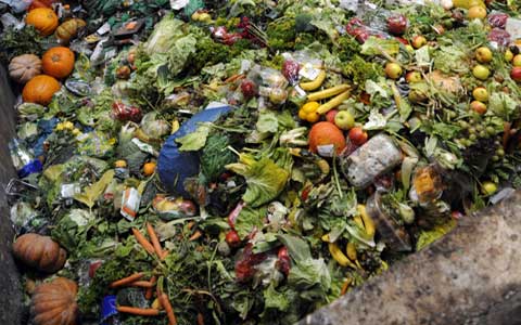 Journée mondiale de l’environnement : Lutter contre le gaspillage alimentaire