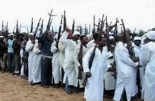  Après le Mali, la Cédéao ne devrait-elle pas s’intéresser à Boko Haram, massacreur au Nigeria ? (2/2)
