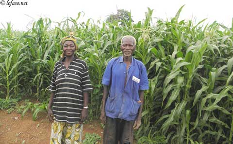 Campagne agricole 2013-2014 à Tingandogo : Situation variable dans l’ensemble