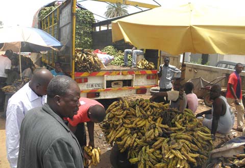 Produits alimentaires à Ouaga : La banane ivoirienne redevient abordable sur le marché 
