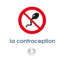 Point de vue de l’islam sur la contraception