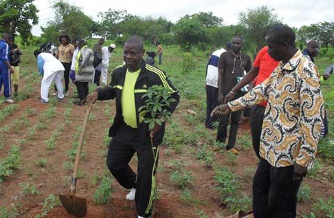 Zagtouli : Les travailleurs de la SONABEL plantent 500 arbres sur leur site 