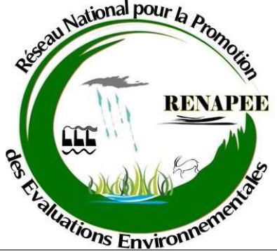 Éboulement dans la province du soum : le RENAPEE-BF demande la tenue d’un forum national sur l’orpaillage
