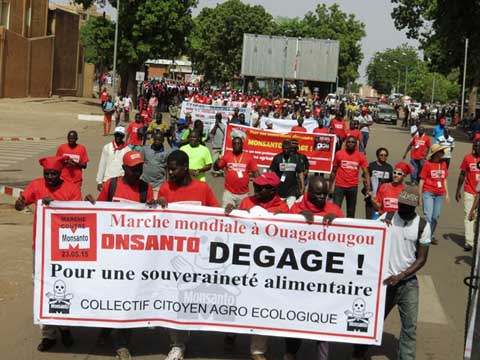 Marche contre Monsanto : les Burkinabè ne veulent plus des OGM