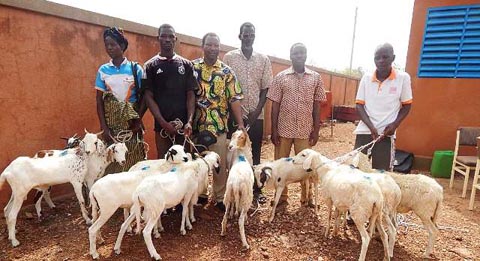Lutte contre la pauvreté dans le Mouhoun : GRET offre 22 kits d’élevage à des ménages