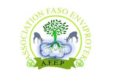 Aménagement du tronçon Echangeur de l’Est-SP/CNLS-IST : L’Association Faso EnviProtek dénonce une « barbarie  écologique » 