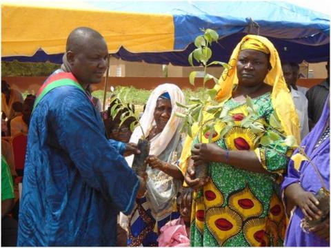 Environnementalistes face à la dégradation des sites d’orpaillage du Sahel
