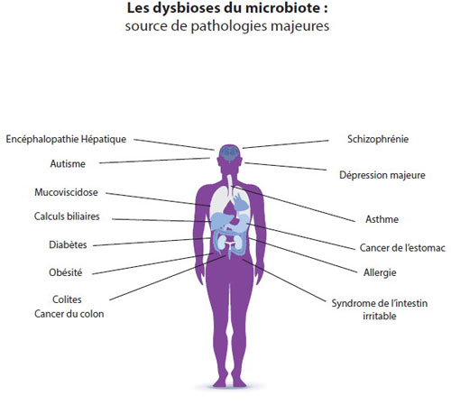 La santé par le microbiote : « Le microbe n’est rien… le terrain est tout » Louis Pasteur
