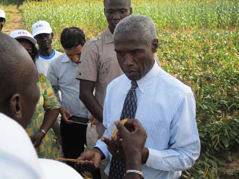Intensification agricole : l’ambassadeur américain visite des champs-écoles à Ziga 