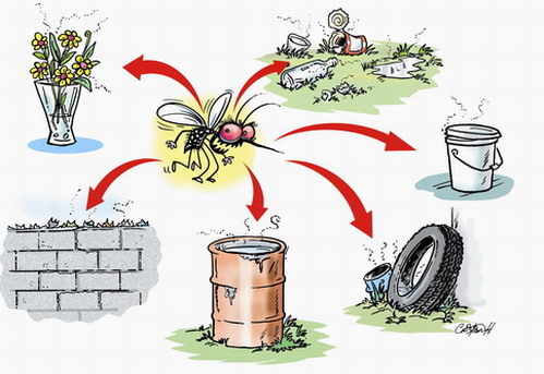 Epidémie de dengue : Le Réseau d’Accès aux Médicaments Essentiels (RAME) s’inquiète des dispositions prises par les autorités sanitaires