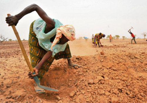 Agriculture en Afrique : Les  petits exploitants parmi les plus touchés par le changement climatique