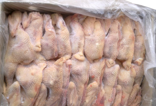 Consommation : La gendarmerie de Boudry saisit plus 600 poulets de chair