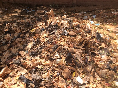 Journée mondiale sans sachets plastiques : Ce qu’en pensent des  Burkinabè