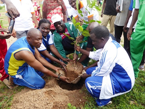 Cité de Bassinko : La BHBF plante  500 arbres 