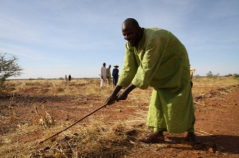 Restauration de terres : Le Niger et l’Ethiopie, bons élèves en Afrique