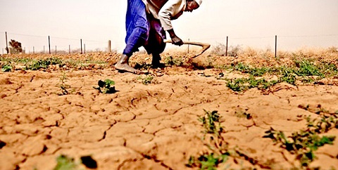  Les effets durables et profonds de la sécheresse sur la pauvreté