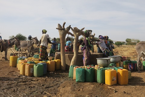 Accès à l’eau : La bataille quotidienne des femmes du Nord