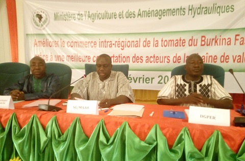 Promotion du commerce de la tomate du Burkina Faso dans l’espace CEDEAO : Les acteurs de la filière en conclave 