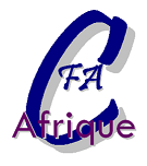 Le cabinet CFA-Afrique SA organise une formation sur le nouveau CGI sur le thème : « Le code général des impôts : Le nouveau référentiel fiscal au Burkina Faso » 