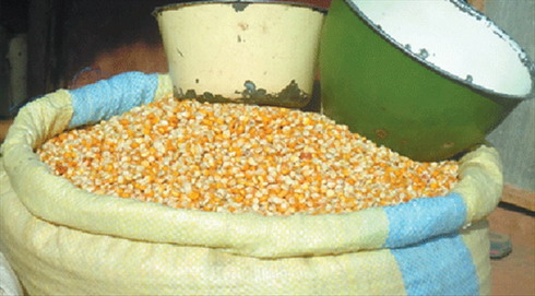 Consommation : Prix estimatifs des produits agricoles au Burkina