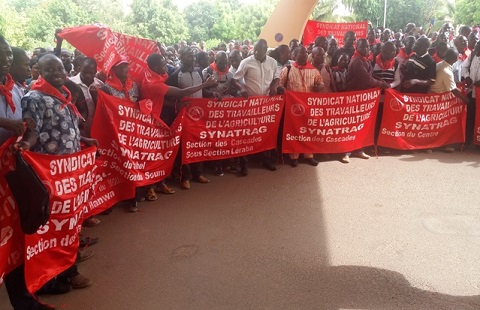 Syndicat national des travailleurs de l’agriculture : 48 heures de grève pour exiger la satisfaction de la plateforme revendicative