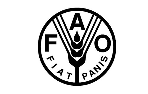 La FAO invite les fournisseurs à s’enregistrer sur le site UNGM pour pouvoir participer à tout appel d’offre au Burkina Faso 